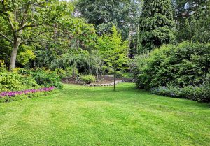 Optimiser l'expérience du jardin à Oncourt